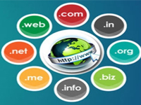 Domain & Hosting Services
